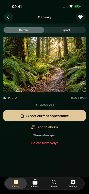 Velyr photo view of a forest path with Export current appearance and Add to album actions.